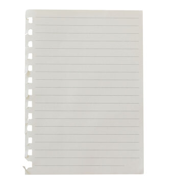Torn-out lined notebook page with visible binder holes on left edge, isolated on transparent background. Empty note paper mockup. Writing, notes, school or organization concept, cut out graphic object