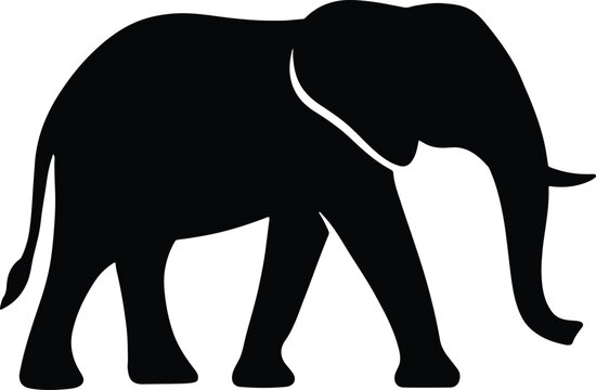 Silhouette elephant graphic art black isolated vector illustration