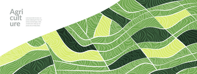 Field rice pattern on farm, abstract background, agro texture, rural green nature design. Agriculture landscape banner, crop silhouette, eco farmland, organic countryside, harvest, earth illustration