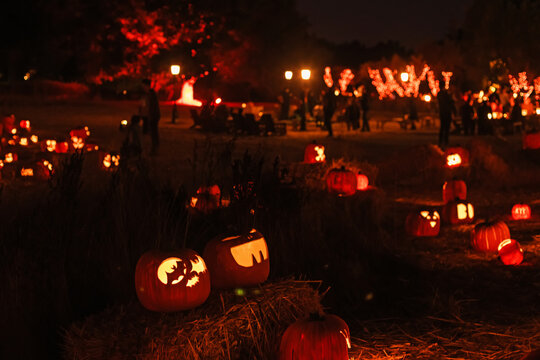 Pumpkin festival illuminating a night filled with carved pumpkins and festive decorations