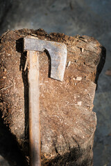Wooden log with old axe resting on top