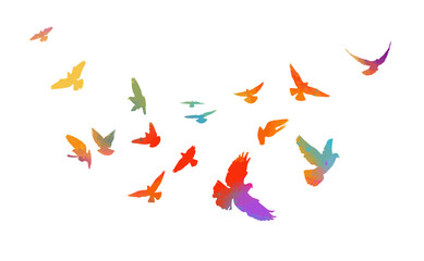Flying colored birds silhouettes on white background. Vector illustration. isolated bird flying. tattoo design