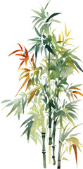 Fototapeta premium Vector watercolor painted bamboo. Hand drawn flower design elements isolated on white background.