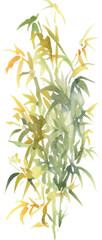 Obraz premium Vector watercolor painted bamboo. Hand drawn flower design elements isolated on white background.