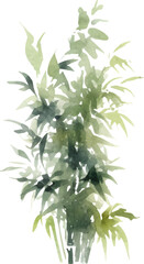 Fototapeta premium Vector watercolor painted bamboo. Hand drawn flower design elements isolated on white background.