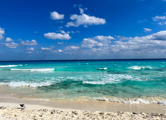 Peaceful Caribbean Beach with Waves and Seagull