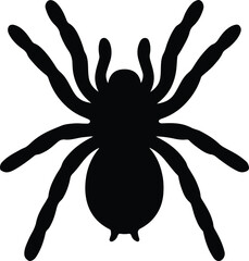 Silhouette spider graphic arthropod eight legs vector illustration