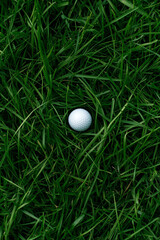 Golf ball resting on lush green grass in the rough