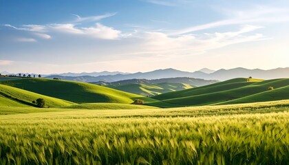 Obraz premium Vast expanse of green grass, serene meadow landscape lush