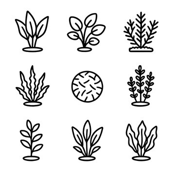 Aquarium Plant Icons. Outline icon set of aquarium plant decorations: amazon sword, anubias, java moss, java fern, moss ball,
