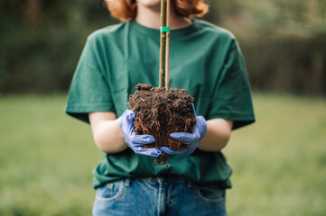 Volunteer holding a small tree for planting