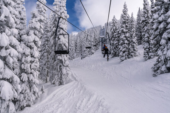 Snowboarder/skier riding a chairlift through the snowy trees at Steamboat Springs ski area in the winter