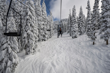 Snowboarder/skier riding a chairlift through the snowy trees at Steamboat Ski area resort in the winter