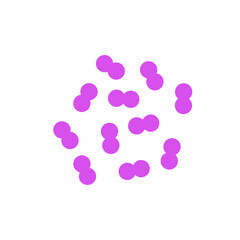 pneumococcal infection vector