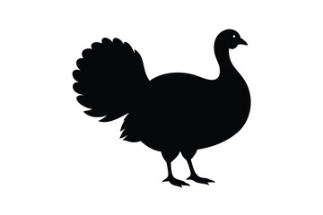 Fototapeta premium Turkey spreading its feathers in the countryside silhouette Vector illustration