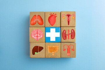 A central medical cross icon on a blue block,surrounded by human organ icon on blue background...