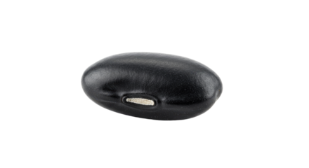 Single Black Bean with Textured Surface and Distinctive Hilum Detail.