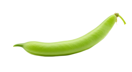 Single Vibrant Green Broad Bean Pod Isolated