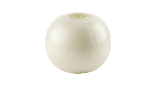 Smooth skinned white onion with a visible root scar and papery outer layers.