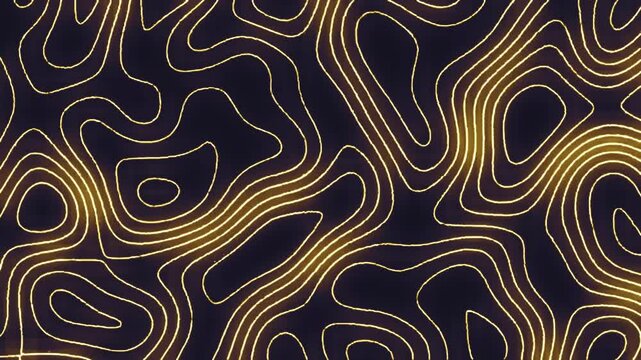 abstract topoghraphy pattern with lines	
