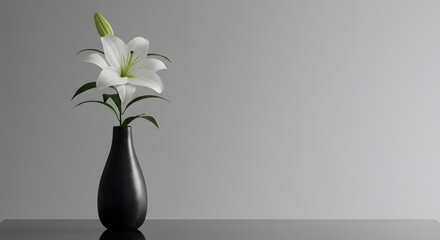 Serene still life of a beautiful white lily in a sleek black vase. Minimalist composition with a gray gradient background and copy space.