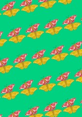 seamless pattern with butterfly , butterflies vector wallpaper, butterflies wallpaper with green isolated background