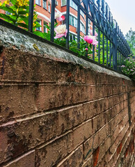 Flowers over a brick wall with a metal fence.