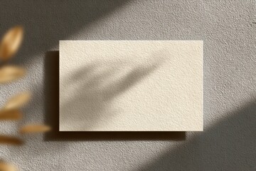 A minimalist mockup featuring a cream business card casting shadows on a textured gray wall.