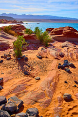 Red Sandstone Shoreline and Desert Vegetation by Blue Lake Eye Level Perspective