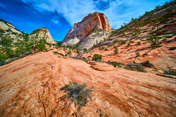 Sandstone Slickrock Cliffs and Blue Sky Zion National Park Ground Level
