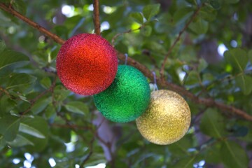 shiny gold green and red christmas ornaments