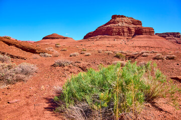 Red Sandstone Butte Desert Vegetation Blue Sky Eye Level View