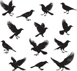 Fototapeta premium Set of Bird Silhouettes in Various Poses