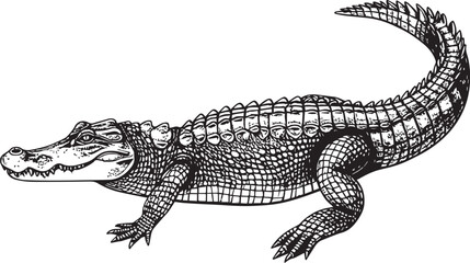 Naklejka premium Vintage Style Crocodile Sketch Illustration