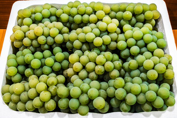 A tray of fresh green grapes, showcasing an abundant harvest. These fruits are rich in vitamins and antioxidants, perfect for healthy diets or culinary uses