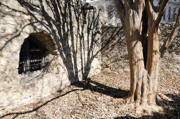 Historic stone architecture with dramatic tree shadows under the bright sun.