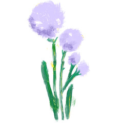 blue hyacinth flower