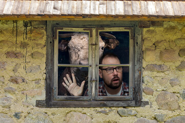 Shocked man looking out of the window of an old farm with a cow behind his back