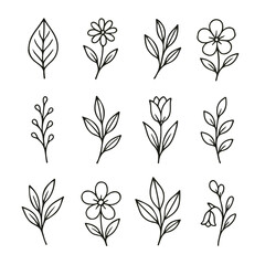 Elegant Floral Vector Icons A Collection of Hand-Drawn Botanical Illustrations