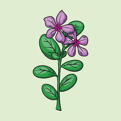 Delicate Periwinkle Flower Botanical Illustration