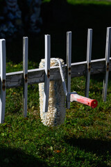 Fototapete bei efototapeten.de bestellen   