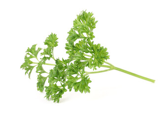 Sprig of fresh parsley isolated on white