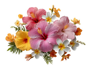 Bright tropical flowers including hibiscus and frangipani arranged in floating layout, isolated on a Transparent background, PNG file.