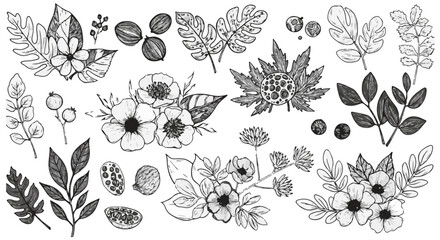 Fototapeta premium Elegant Botanical Illustrations Black and White Floral Designs Hand Drawn Greenery Leaves Flowers