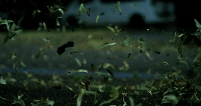 Violent burst of wind lifts dried leaves in dense swirls above asphalt as approaching rainstorm darkens the background with fast, turbulent gusts