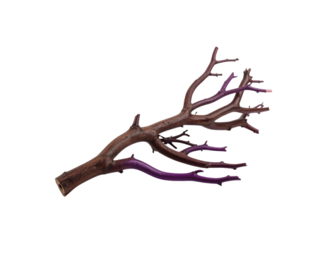 Brown and Purple Painted Branch with Cut End and Small Twigs