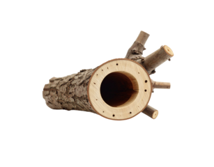 Hollowed Log with Branch Stubs Prepared for Birdhouse Construction