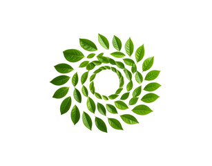 Spiral arrangement of vibrant green leaves creating a natural wreath design