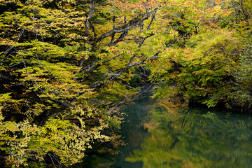 紅葉と清流