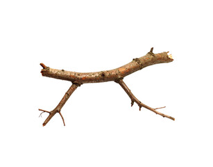Weathered Branch with Two Offshoots and Rough Bark Texture on Transparent Background
